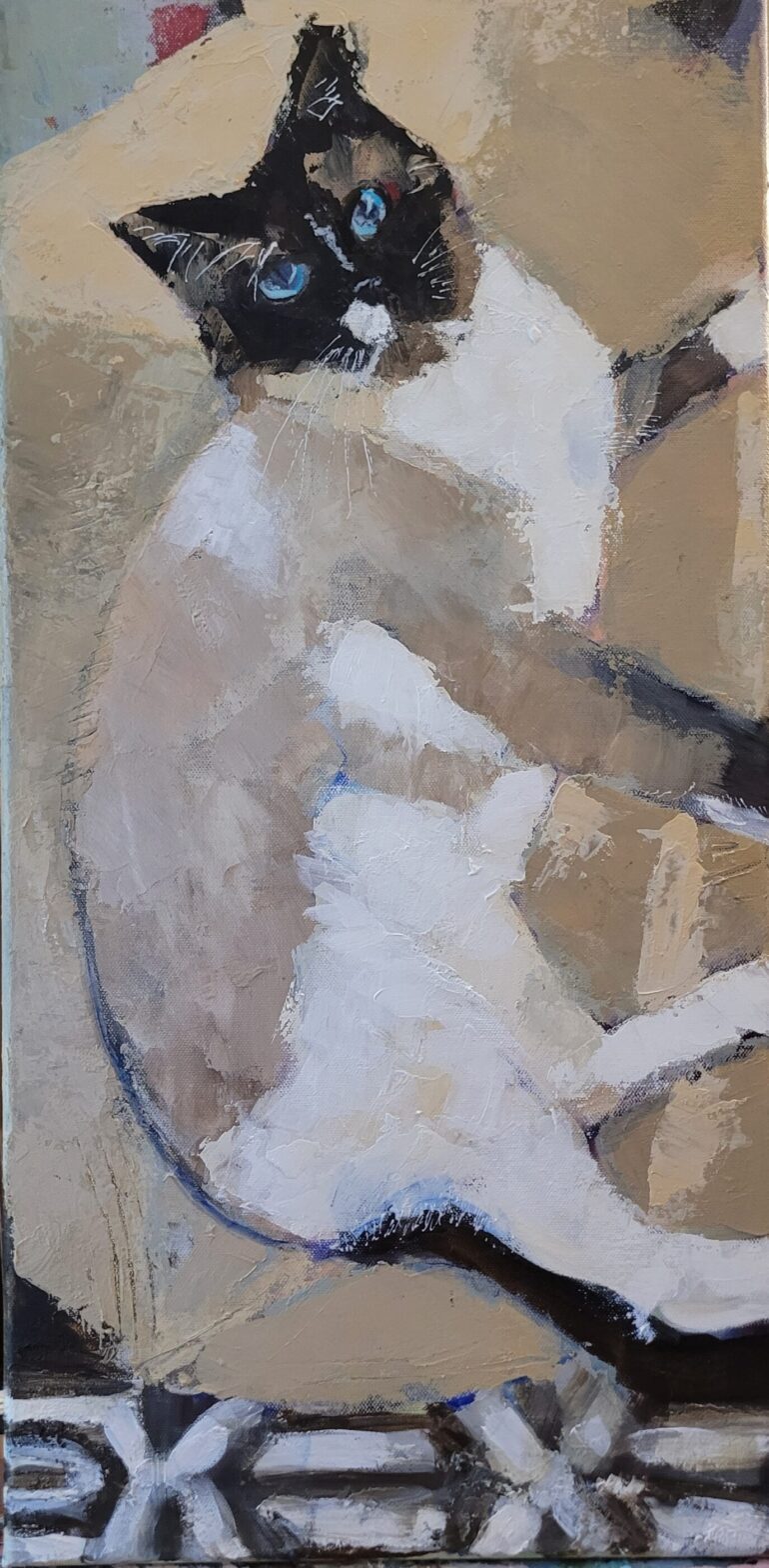 Cynthia J. Young