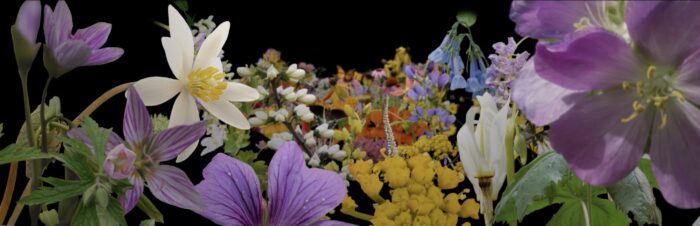 Art at the Indianapolis International Airport