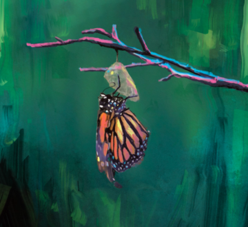 Resting Place: A Documentary Exploration of Time, Life, and Nature Featuring the Crown Hill Artists-in-Residence