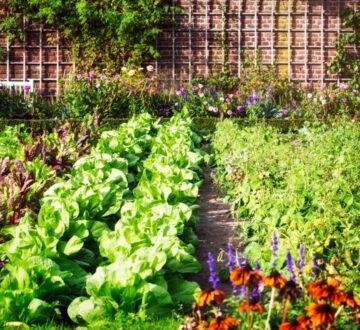 Herb Planter Workshop