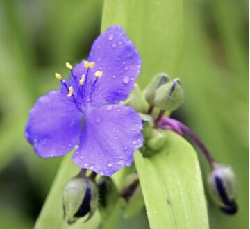 Macro workshop