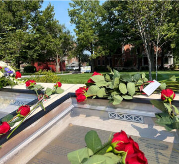 Constitution Day Roses