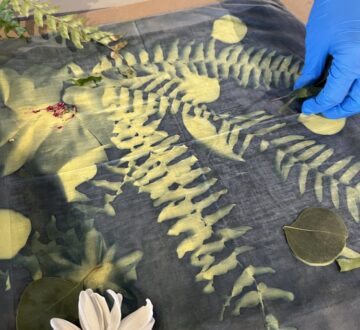 Fabric & Wet Cyanotype Workshop with Erin Patton McFarren