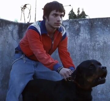 “Amores Perros” – Screening
