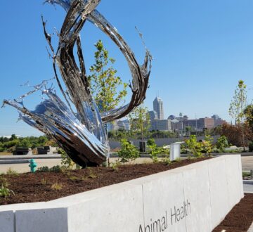 Water in Dripping, River
