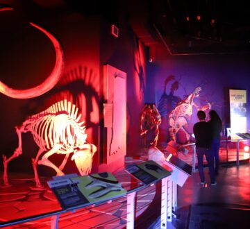 Twilight Tales: Beyond the Grave