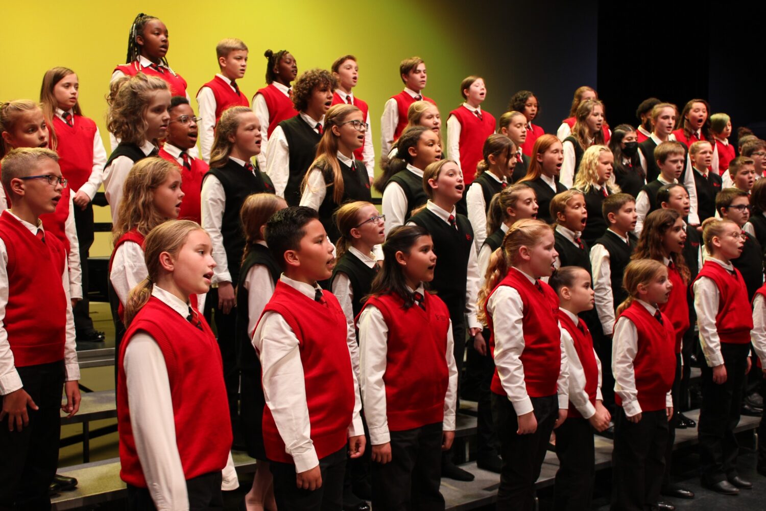 Celebrating 40 Years of Song and Impact - Indy Arts Council