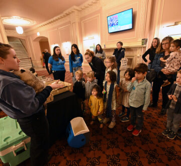 Teddy Bear Concert Series