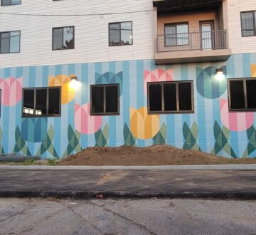 Tulip Garden and Marble Maze