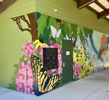 Explore Holliday Park