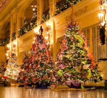 2025 Festival of Trees