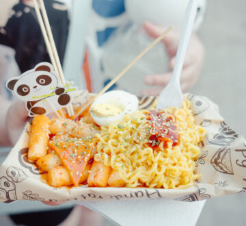 Panda Fest Indy - Indy Arts Council